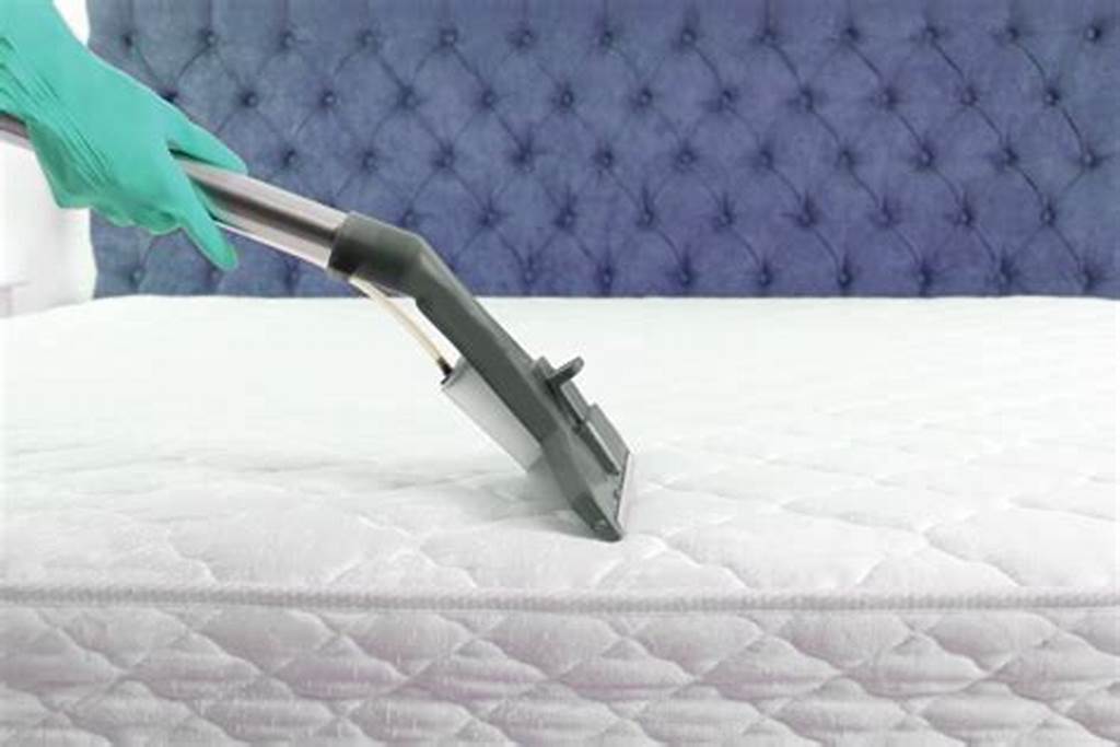 Mattress Cleaning service NYC