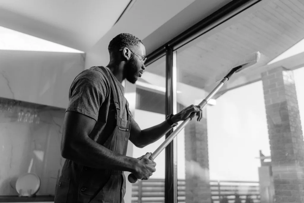 professional window cleaning services
