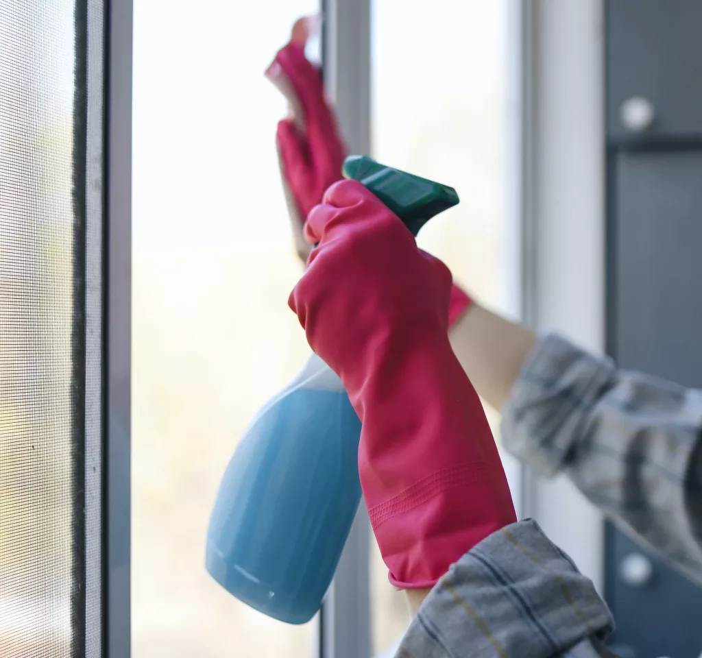 tips for window cleaning at home