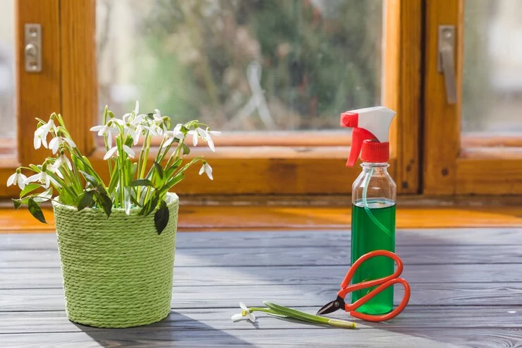 what is spring cleaning in housekeeping
