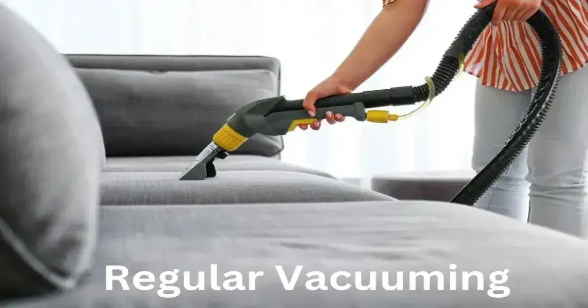 Regular Vacuuming